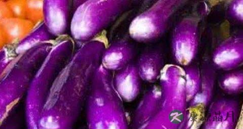 夏天什么菜好吃