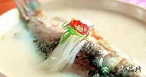 夏季养脾吃什么好