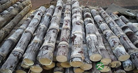 皮肤干起皮是缺什么