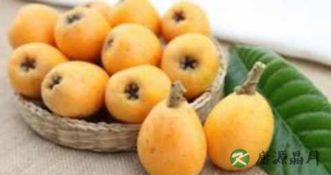 咽喉炎秋季吃什么好