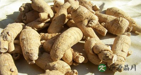 秋天吃西洋参好不好