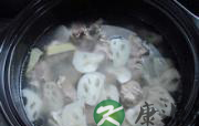 秋季养生食谱--莲藕排骨汤