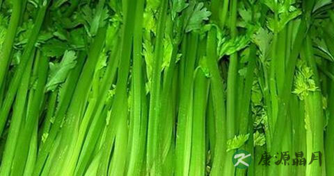 秋天吃什么蔬菜好