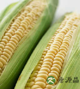 吃些鲜玉米 好处多多