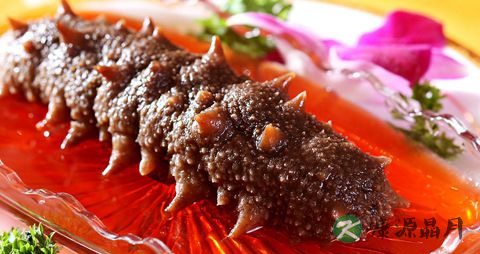 秋季吃海参好吗