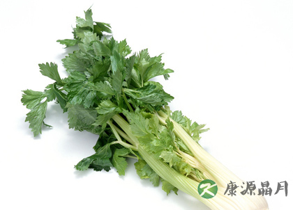 秋季养生能防病于未然