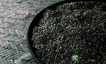 秋季补血要多吃的食物有什么