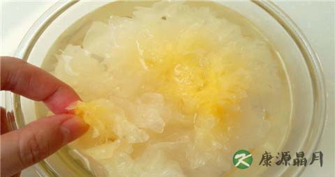 秋季吃什么润肺