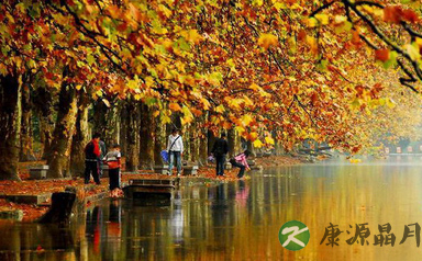 经济简单深秋防燥法大集合