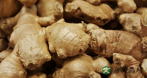 秋季养生的方法