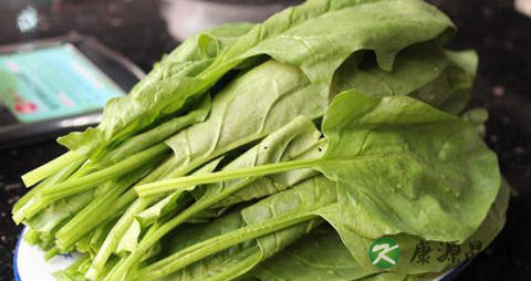 秋燥吃什么菜