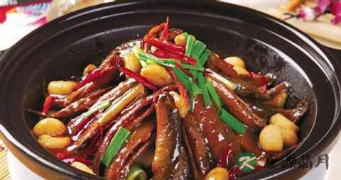 秋天吃什么鱼好