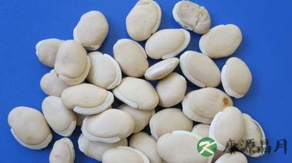秋季养胃食物排行榜