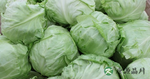秋季感冒喝什么花茶