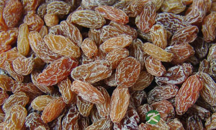 秋季补血要多吃的食物有什么