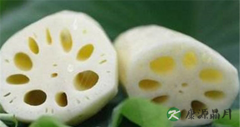 秋天吃什么菜最好
