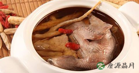 冬季吃鸽子的做法