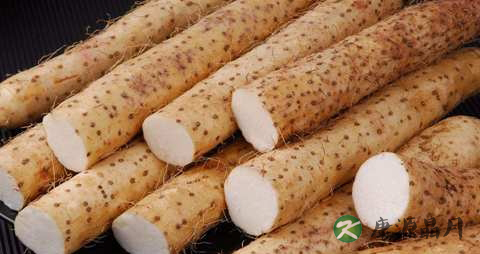 冬天吃什么补肾好