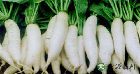 冬季过敏性鼻炎怎么办