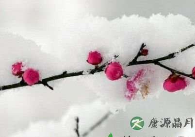你准备好过冬了吗 你准备好过冬了吗