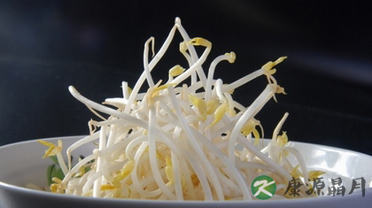 冬季养生多吃豆芽好处多