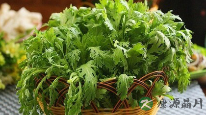 冬天中午吃什么菜好