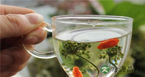 冬天养生花茶有哪些