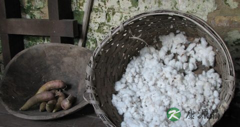 冬季吃番薯的注意事项