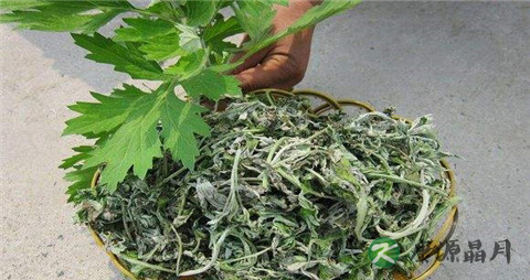 艾叶泡脚的方法