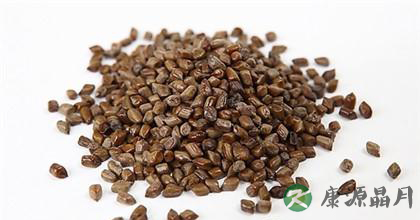 决明子的功效与副作用