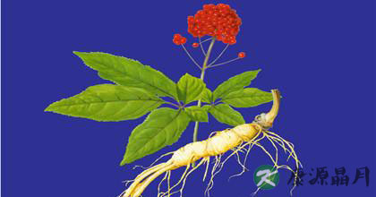 人参的功效与食用方法