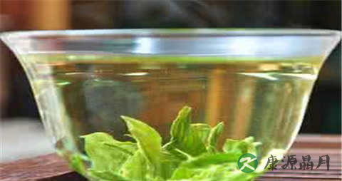 喝荷叶茶能减肥吗