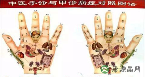 手诊诊法