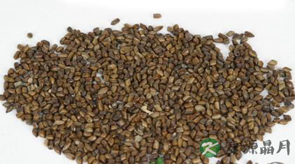 决明子的功效以及食用价值