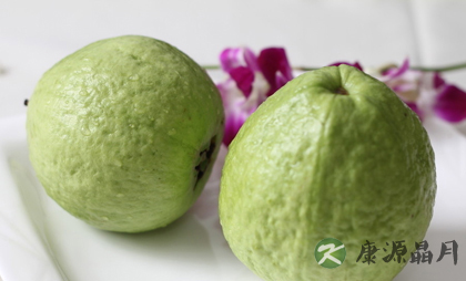 盘点番石榴的功效与作用有哪些 盘点番石榴的功效与作用有哪些