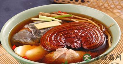 灵芝的功效以及食用方法