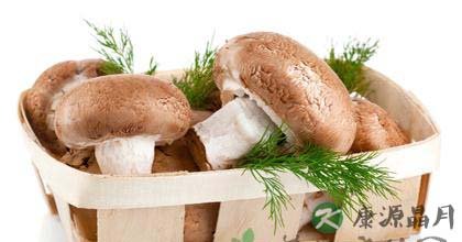 吃什么减肥效果较好