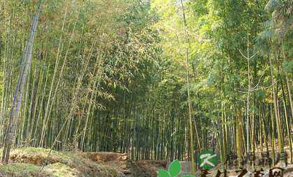 春天春捂也要适度 春天春捂也要适度