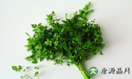 增进食欲的消食药