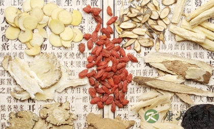中医养生之食、术、思、药