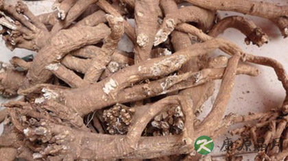 清退虚热的中药有哪些