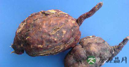 何首乌有哪些的功效与作用 何首乌有哪些的功效与作用