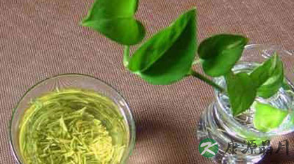 上火失眠 喝杯莲子心茶