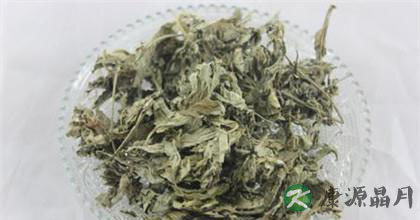 小小艾叶的作用多多