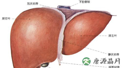 肝炎的早期症状