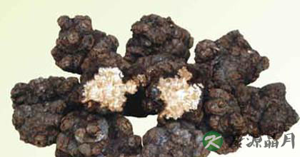 当归的功效与食用方法