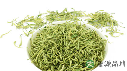 秋冬养生_金银花能治感冒吗