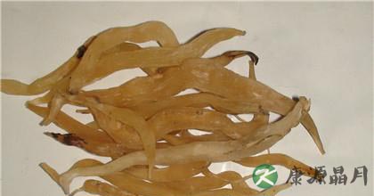 天门冬的功效与作用 天门冬的功效与作用