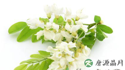 槐花的作用以及功效有哪些