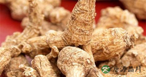 枸杞子西洋参泡水喝好吗